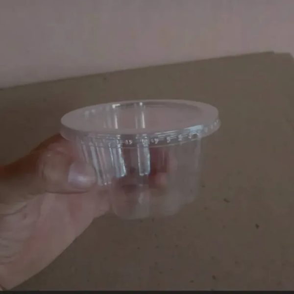 Vaso de 8 onz con tapa plana