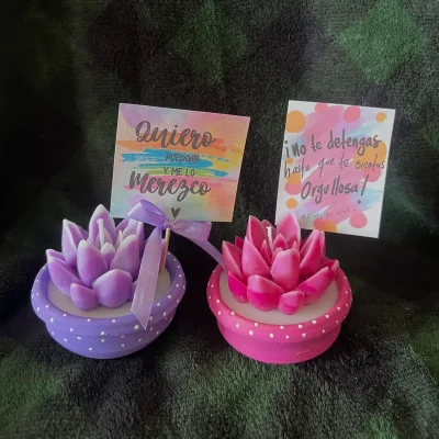 Macetas con frases positivas 1