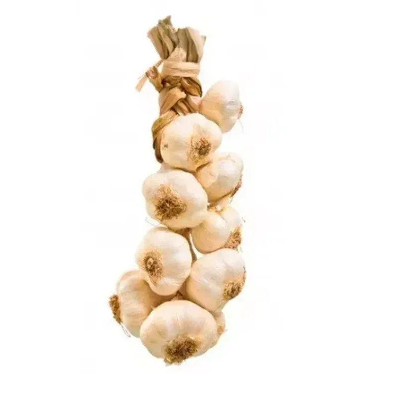 AJO