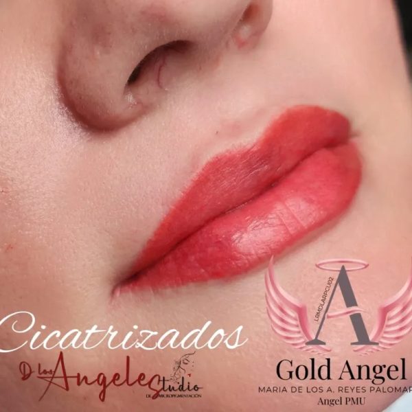 Retoque de Micropigmentación de Labios.