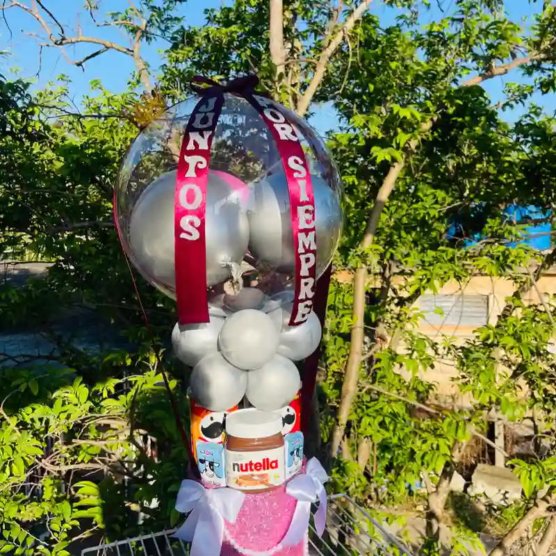 Cesta de globo burbuja