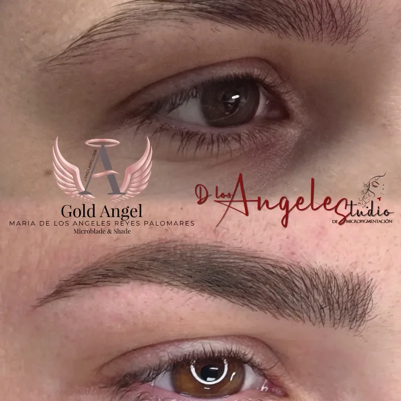 Cejas Primera Sesión.