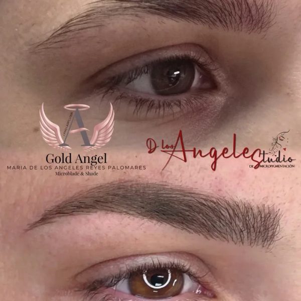Cejas Primera Sesión.