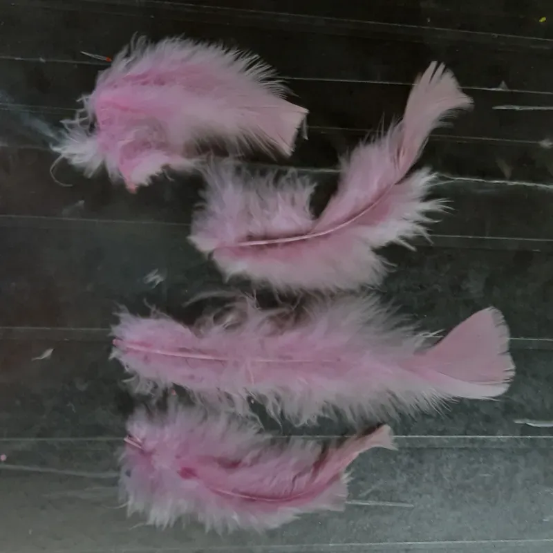 PLUMAS DECORATIVAS 13 - 20 UNIDADES