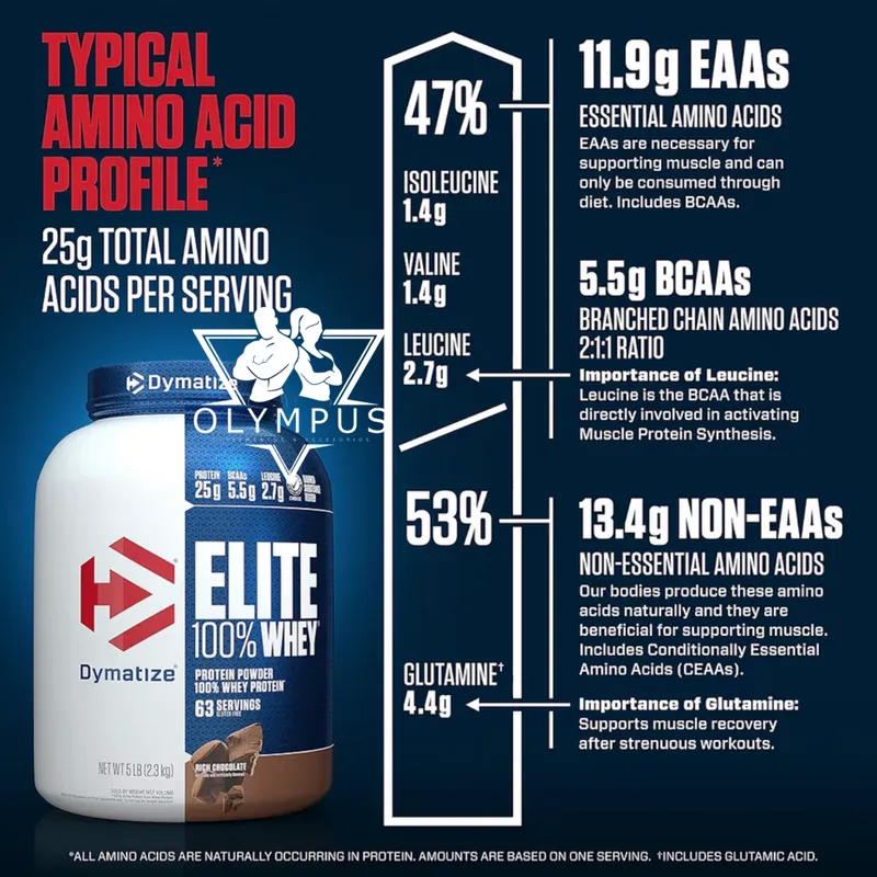 Elite 100% Whey Protein “Dimatize”