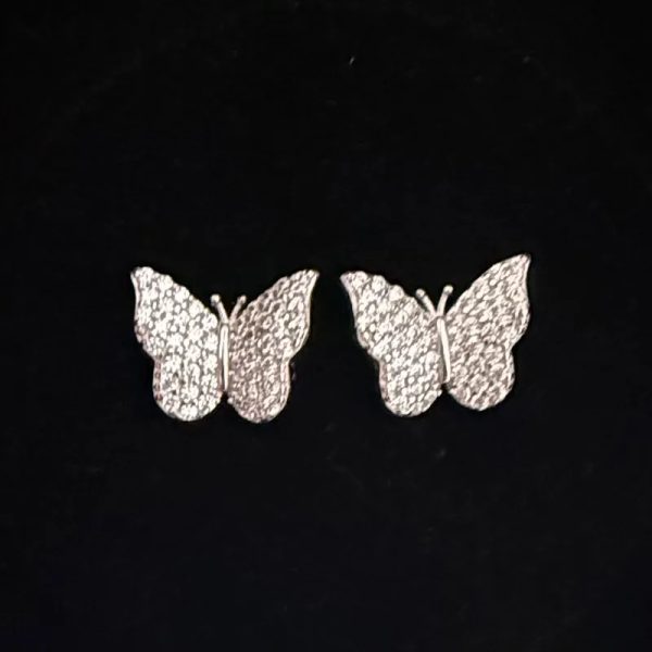 Aretes 305
