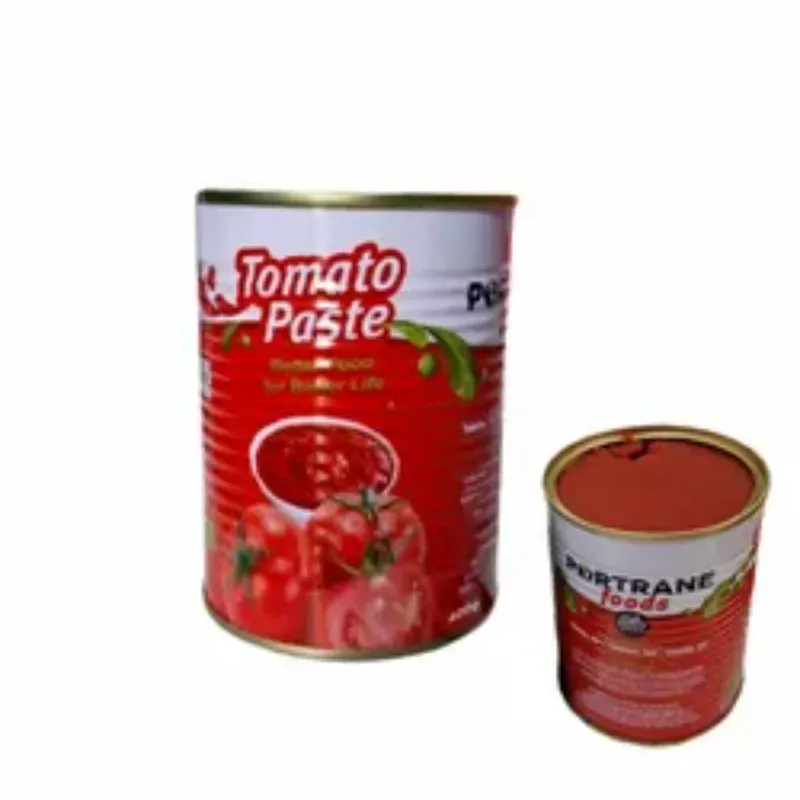 Pasta de Tomate Portrane(400gm)