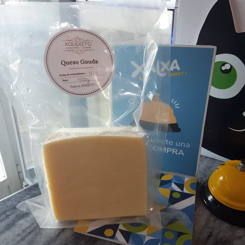 Queso Gouda Xquixito