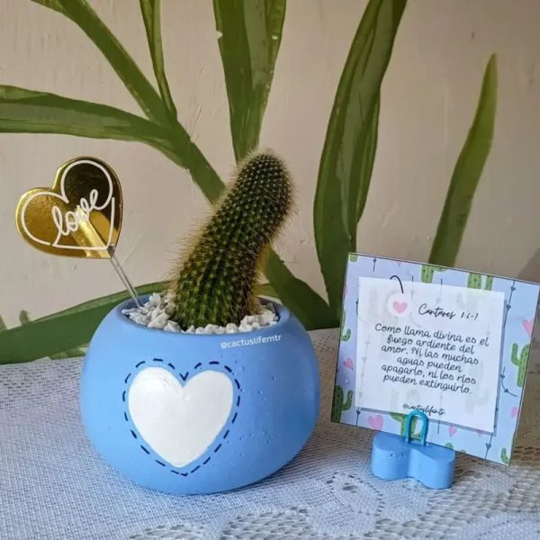 Maceta de corazón