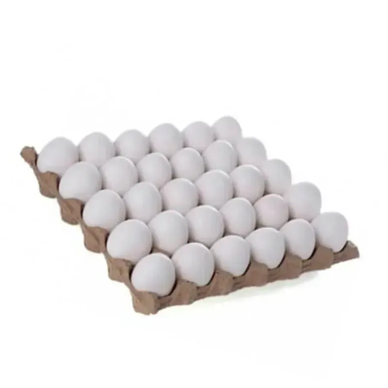 Cartón de Huevo 30u