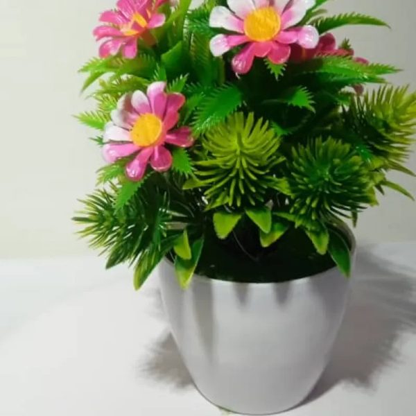 Macetas de flores