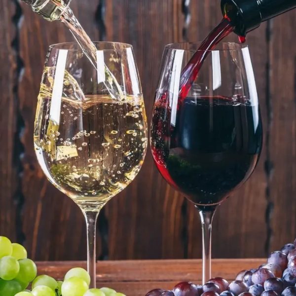 Copa de vino tinto/blanco