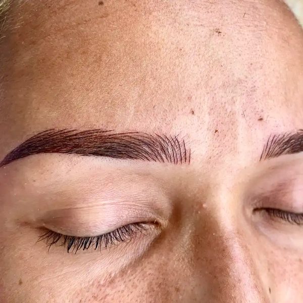 CEJAS HÍBRIDAS