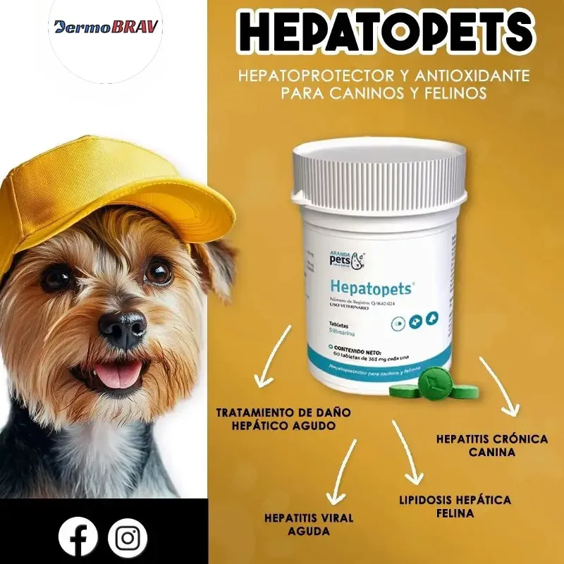 HEPATOPETS (protector hepático) 60 TAB
