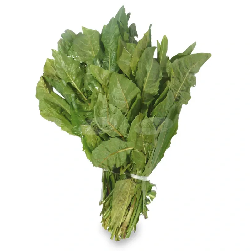 ACHICORIA