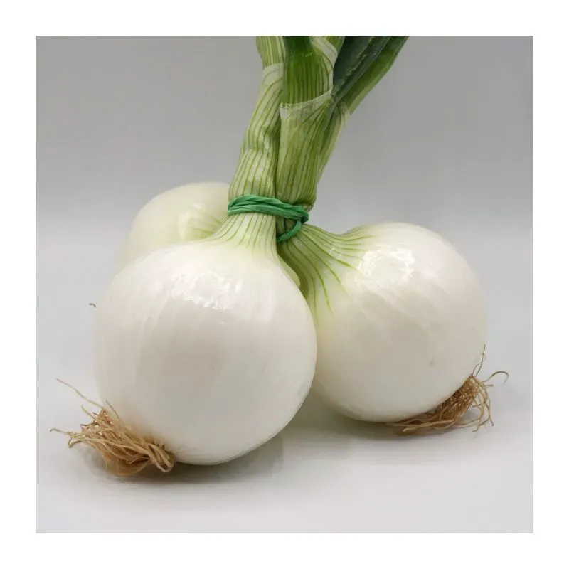 Cebolla Blanca