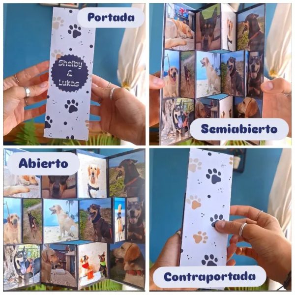 Album Acordeón