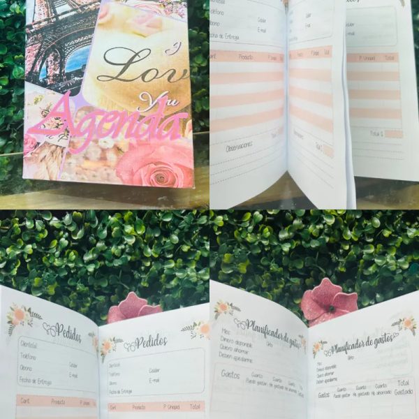 Agendas paris