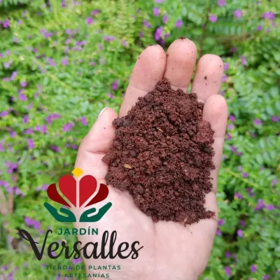 Bolsas de suelo mejorado