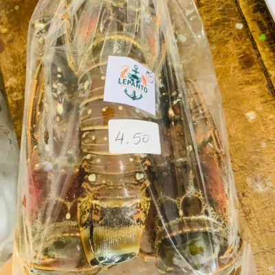 Langosta entera 1.85lb