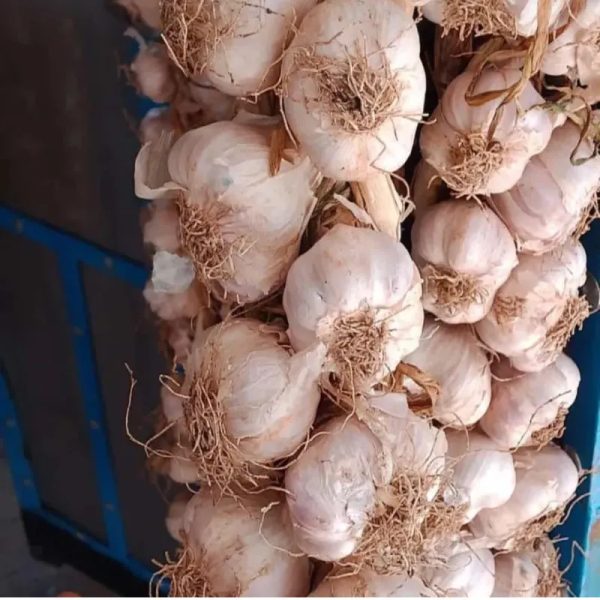 Pata de ajo
