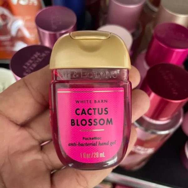 Gel antibacterial cactus blossom