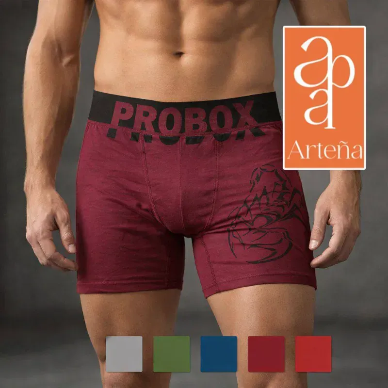 Calzoncillo PROBOX