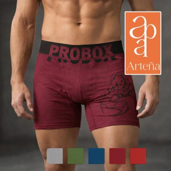 Calzoncillo PROBOX