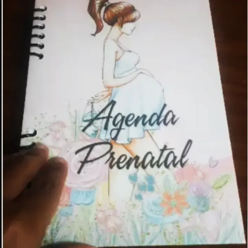 Agenda Control Prenatal