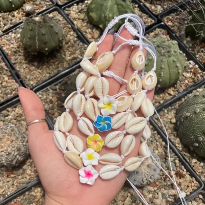 Pulseras de caracoles + plumerias