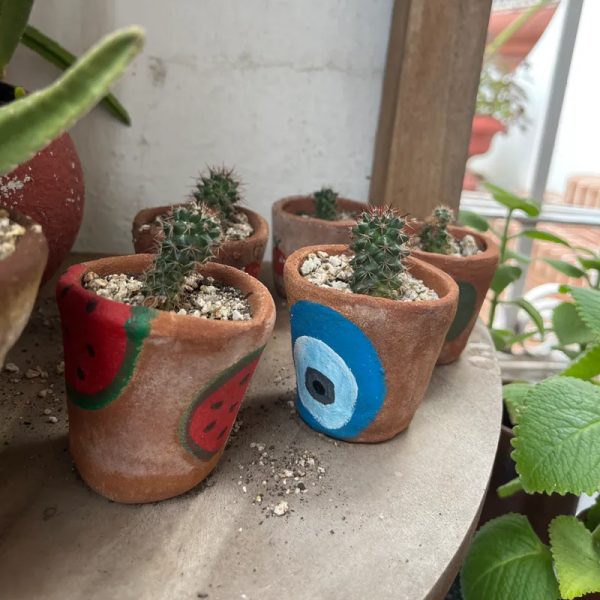 Cactus 