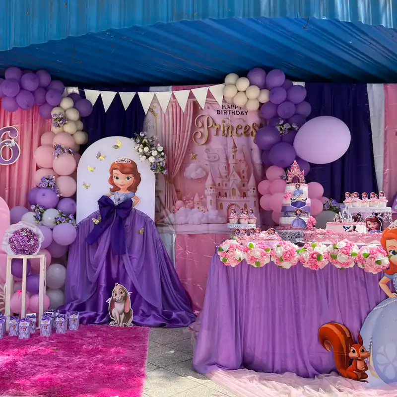 Decoración de la princesa Sofía