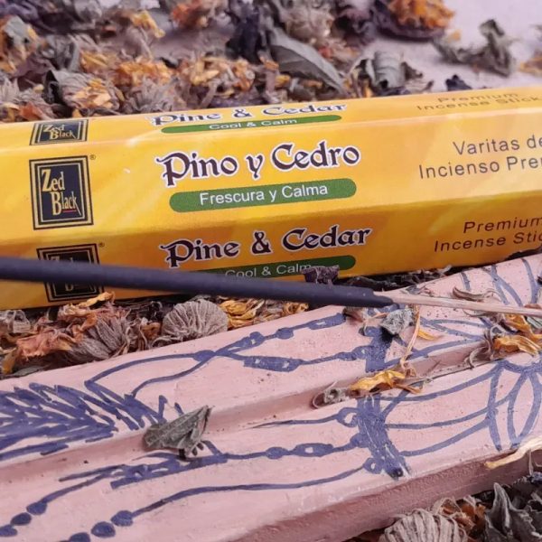 PINO Y CEDRO