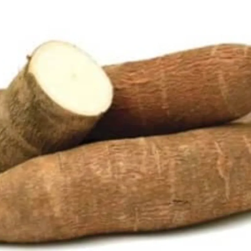 Yuca