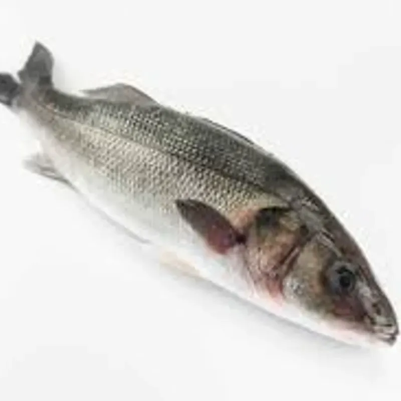 LUBINA SALVAJE ENTERA EVS, 800-1500G, IVP GOURMET, C/10 APROX 1003039 PRECIO 30.74