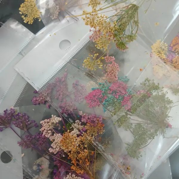 Naturaleza Muerta