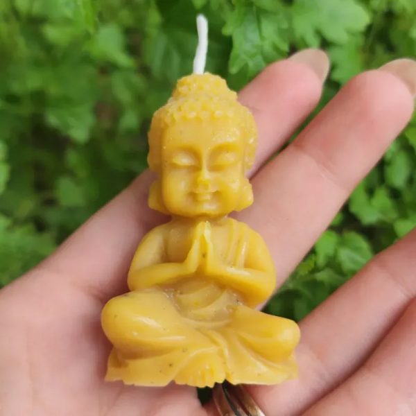 Vela Buda (D'eco)