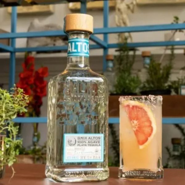 Olmeca Alto Plata