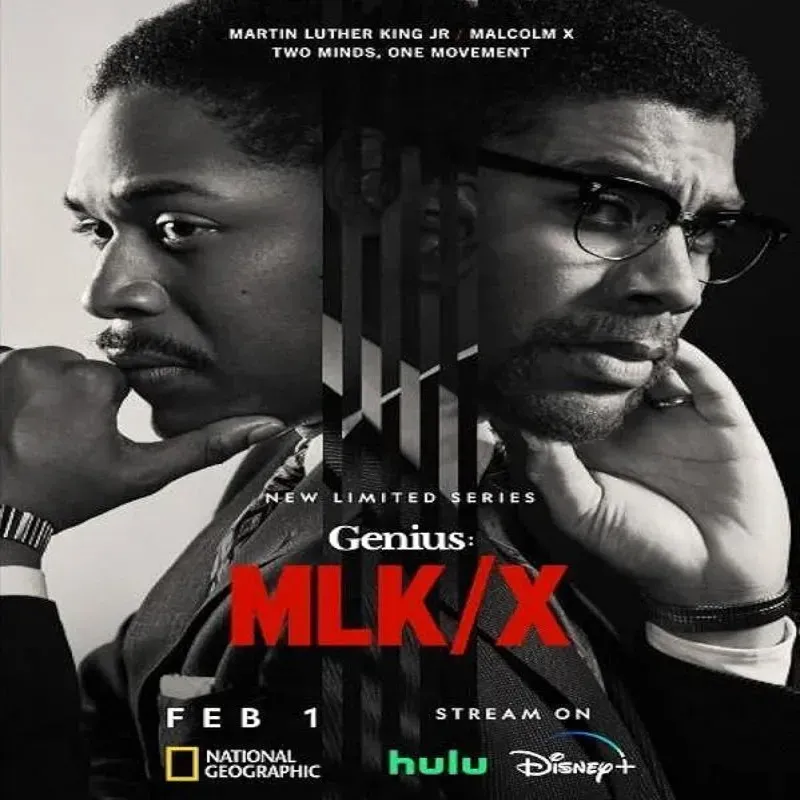 Genius (Temporada 4) [8 Cap]