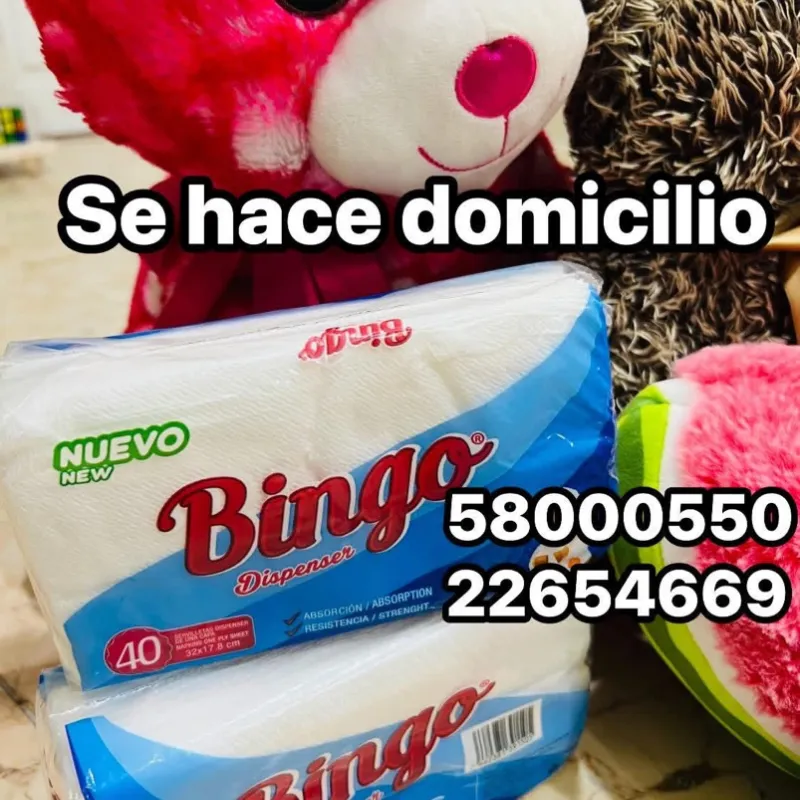 Servilletas desechables (40 unidades )