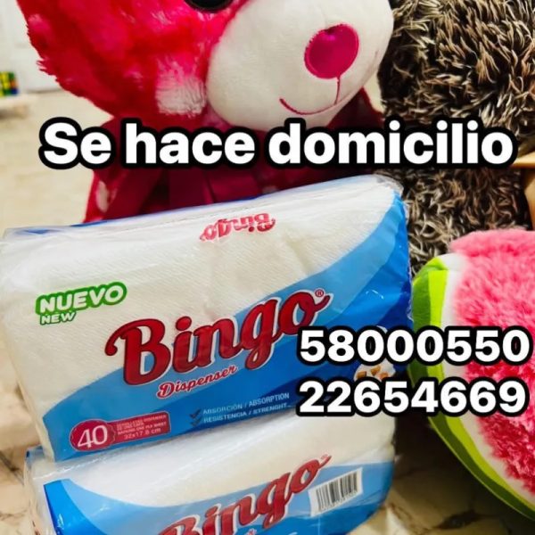 Servilletas desechables (40 unidades )