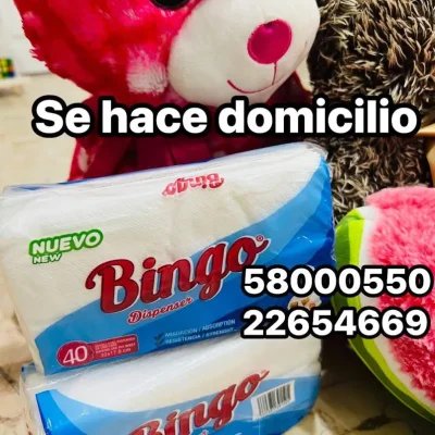 Servilletas desechables (40 unidades )