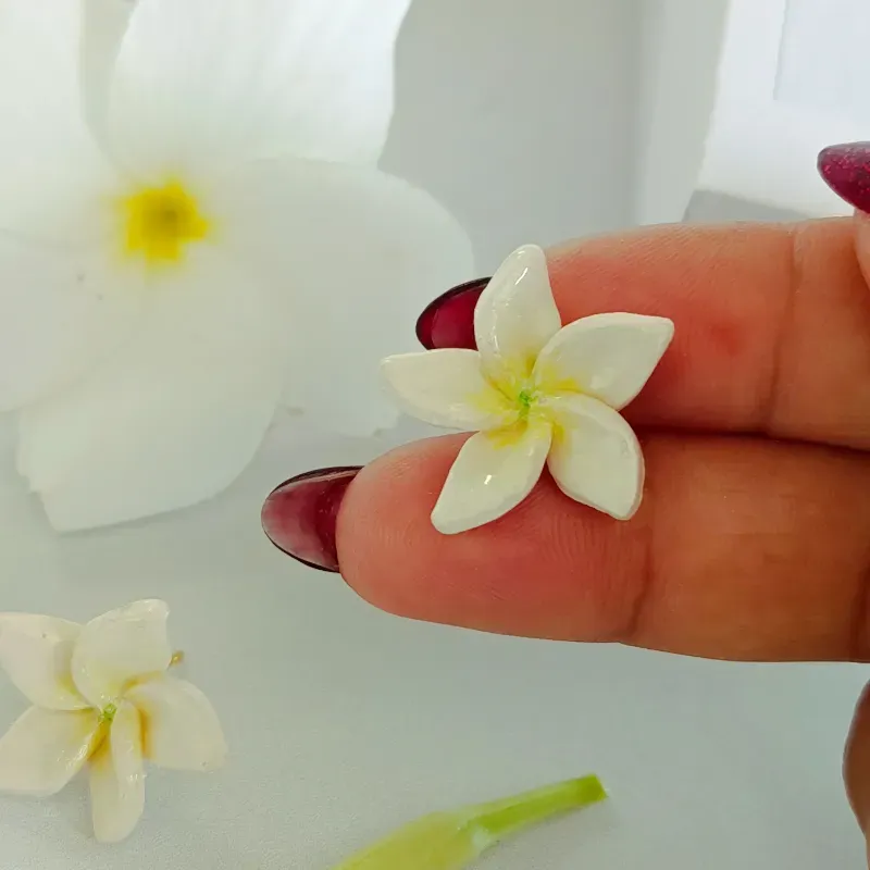 Plumeria blanca clásica "Antonia"