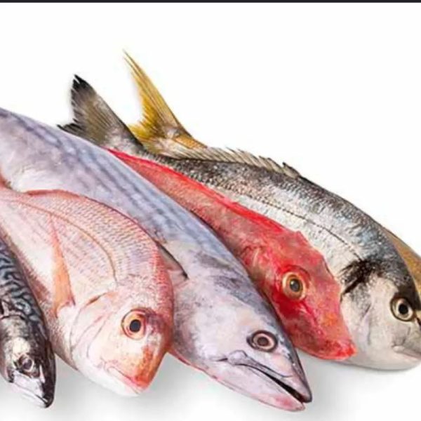 Pescado de mar.