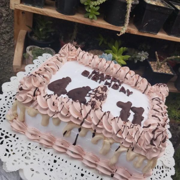 Cake 2 en 1