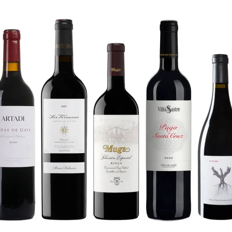 VINOS TINTOS VARIADOS