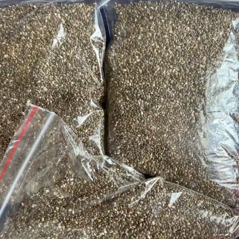 Semillas de Chía 100g