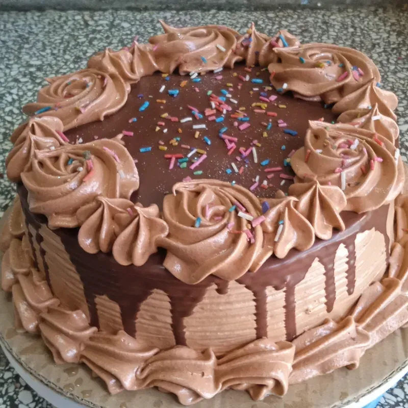 Sencillos con cobertura de chocolate