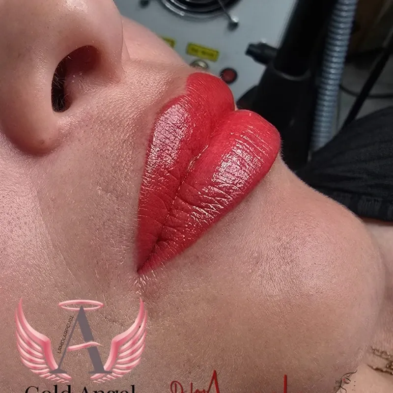 Micropigmentación de Labios Después de 1 Año.