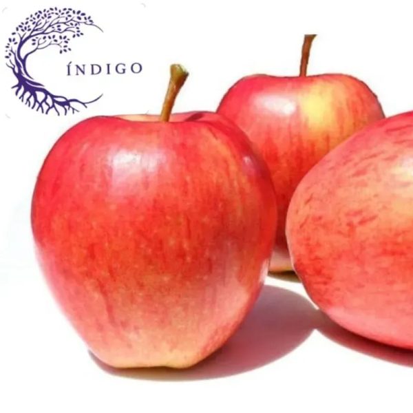Manzana